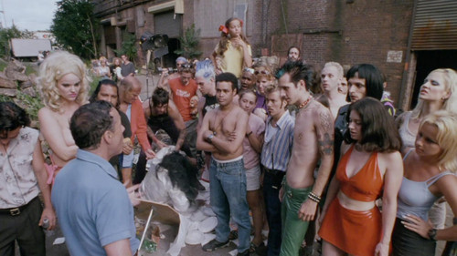 Terror Firmer Bild 1