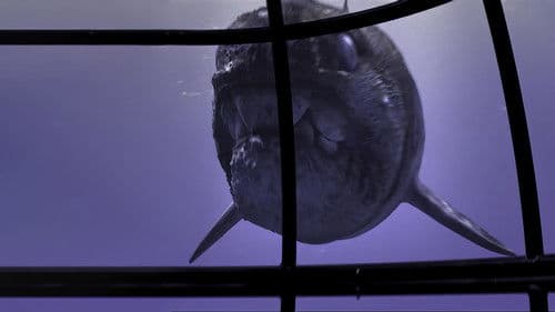 Monster der Tiefe: Im Reich der Urzeit Bild 4