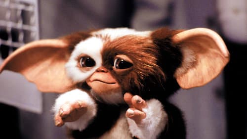 Gremlins 2 - Die Rückkehr der kleinen Monster Bild 7