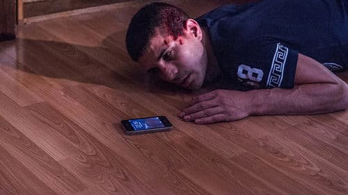 Cap și pajură Bild 3