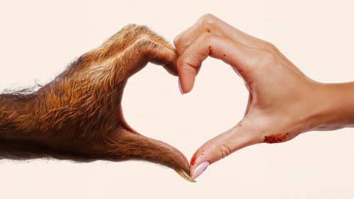 Mein Monster - Ungeheuer verliebt Bild 3