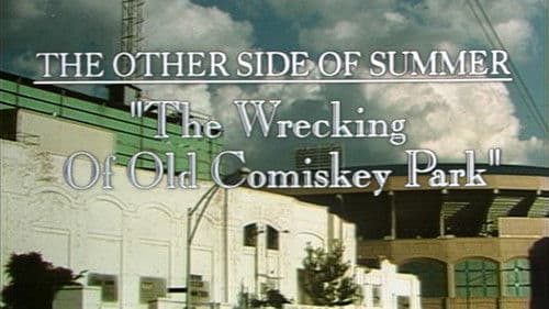 The Wrecking of Old Comiskey Park Bild 2