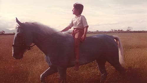 O Cavalinho Azul Bild 1