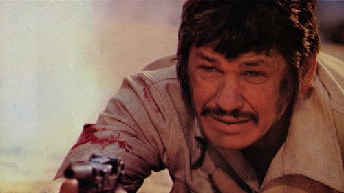 Brutale Stadt Bild 5