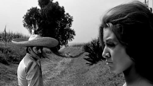 Cruces Sobre El Yermo Bild 1