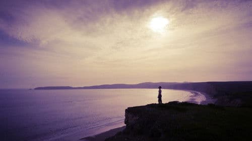 The Love Effect Bild 1