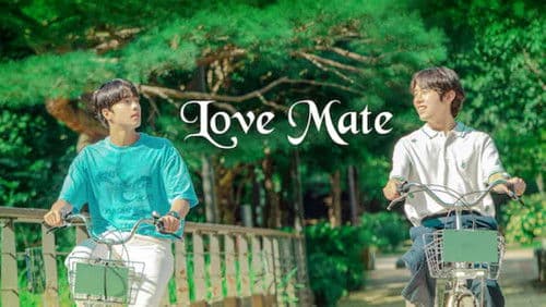 러브 메이트 Bild 1