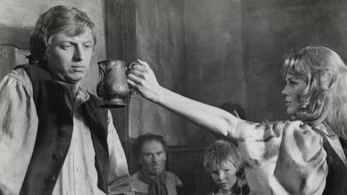 Where's Jack? Bild 1