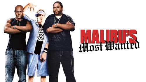 Malibu's Most Wanted Bild 3
