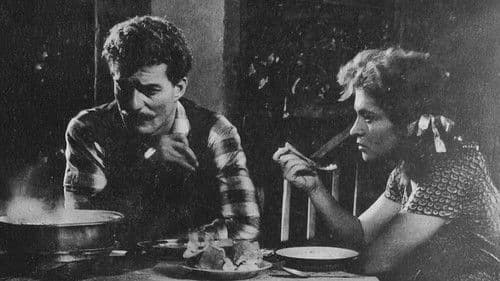 Kelebekler Çift Uçar Bild 2