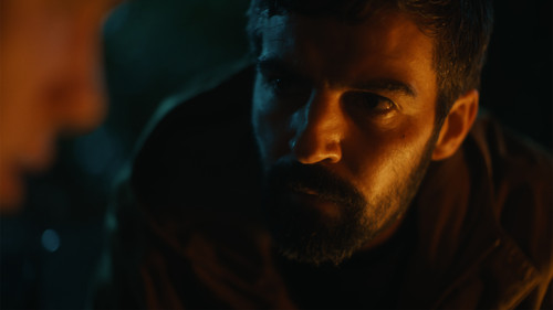 Amongst the Wolves Bild 1