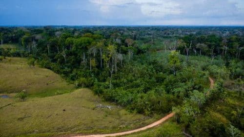 BR Acima de Tudo Bild 1