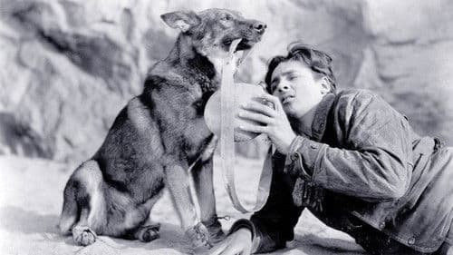 Clash of the Wolves Bild 5