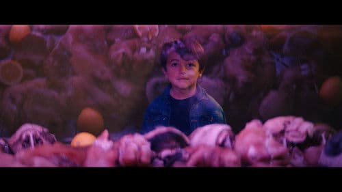 La Notte è un Giorno Dispari Bild 1