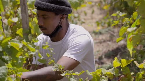 The Two Eighty Project Bild 2