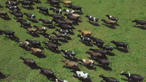 Beyond Impossible Bild 1