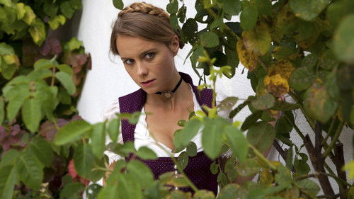 Die Büffel sind los! Bild 2