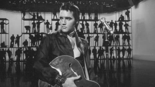 Elvis Presley: The Searcher Bild 8