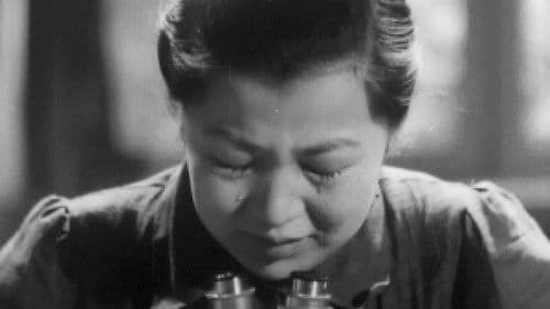 Am allerschönsten Bild 1