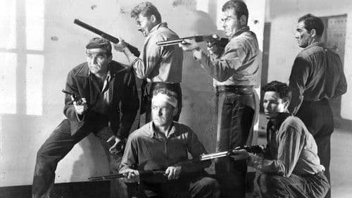 Inside the Walls of Folsom Prison Bild 3