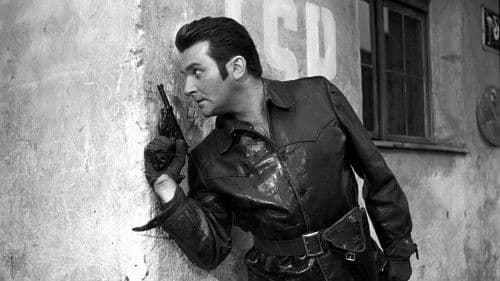 Das Gesetz und die Faust Bild 5