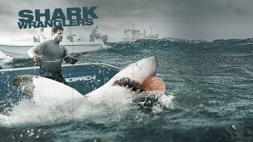 Shark Wranglers Bild 2