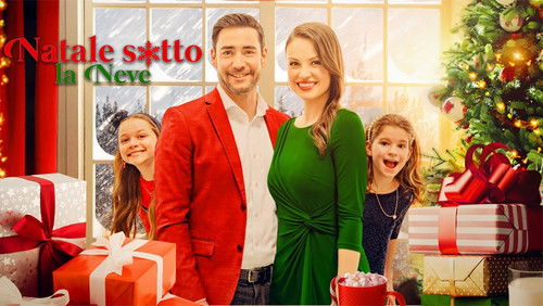 Eingeschneit zu Weihnachten Bild 3