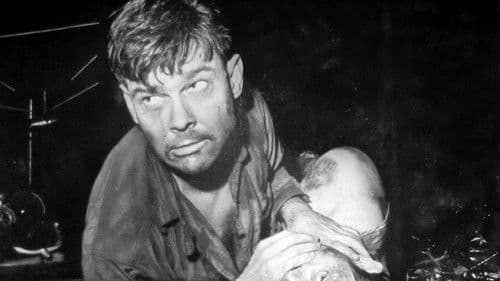 For You I Die Bild 3