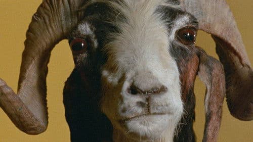 Der heilige Berg Bild 5