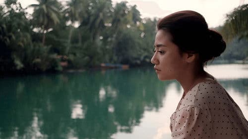 Song of the Fireflies Bild 2