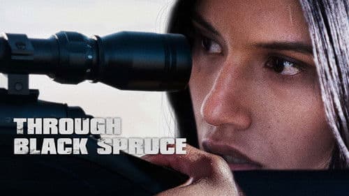 Through Black Spruce Bild 5