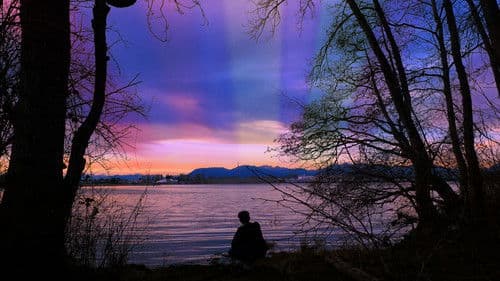 My Fascination With The Butterfly Effect Bild 1