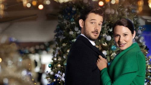 Wir fliegen auf Weihnachten Bild 3