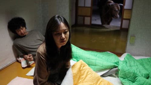 소와 함께 여행하는 법 Bild 4