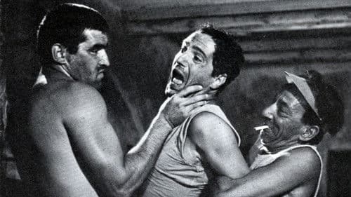 Vergewaltigt in Ketten Bild 3