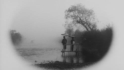 野菊の如き君なりき Bild 3