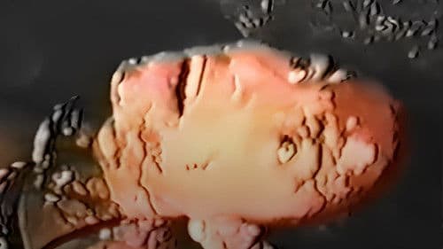 Vermilion Eyes Bild 3