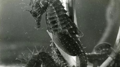 The Sounds of Science Bild 1