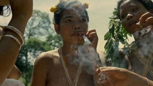 Alle Frauen dieser Welt Bild 2