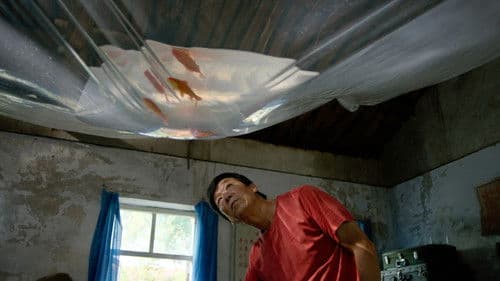 平原上的夏洛克 Bild 1