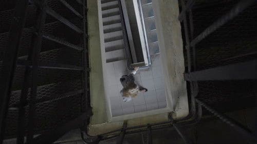 Последствия любые Bild 1