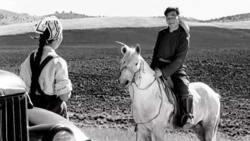 Морьтой ч болоосой Bild 1