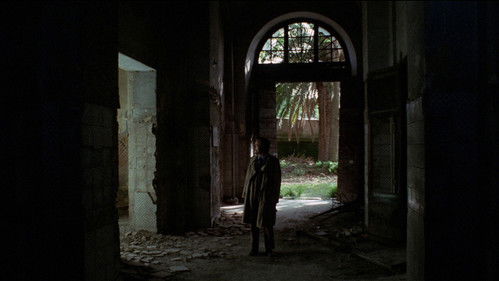 Ein schwarzer Tag für den Widder Bild 5