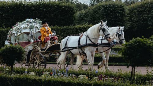 Царевна-лягушка 2 Bild 1