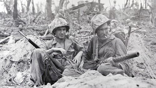 World War 2: The Complete History Bild 4