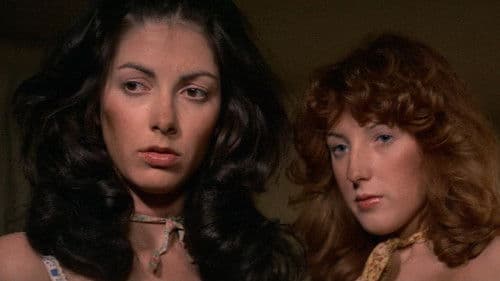 Die tolle Geschichte der C. Bild 5