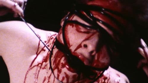 Submit to Me Now Bild 6