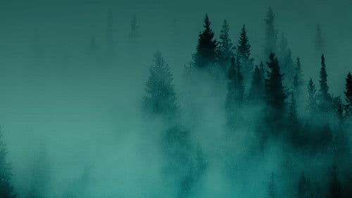 Hunting Matthew Nichols Bild 4