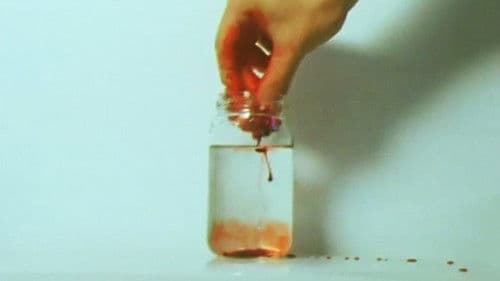 Date of the Dead Bild 6