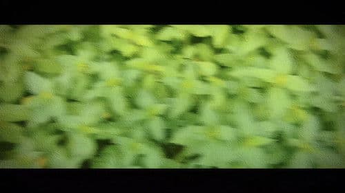 Wandering: The Art of Noticing Bild 4